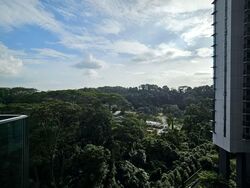Normanton Park (D5), Apartment #551850741